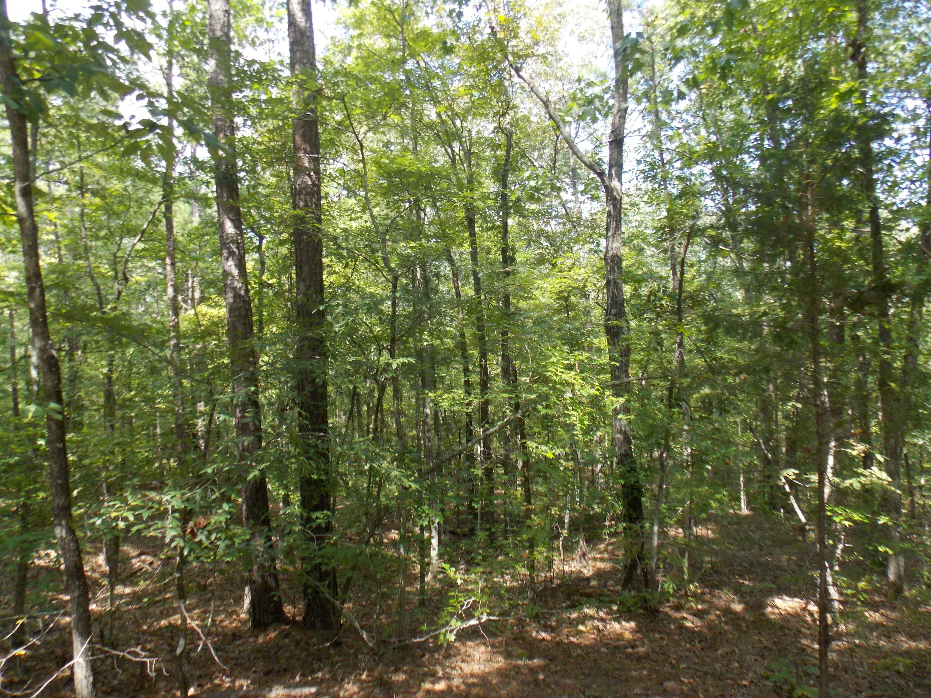 Property Photo:  11 Doe Run  GA 30817 