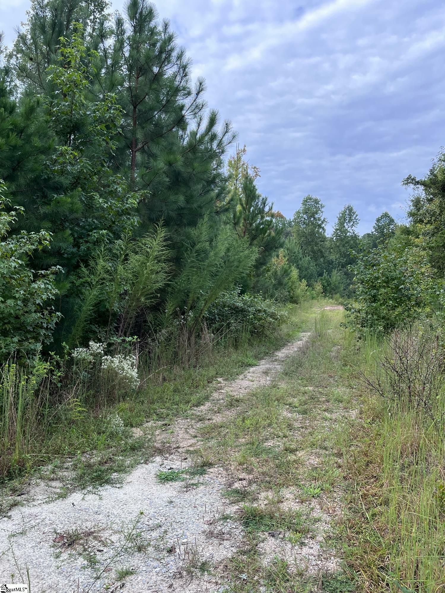 Property Photo:  0 Tugaloo Road  SC 29643 