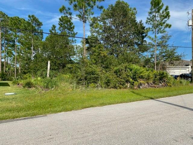 Property Photo:  41 Pine Croft Lane  FL 32164 