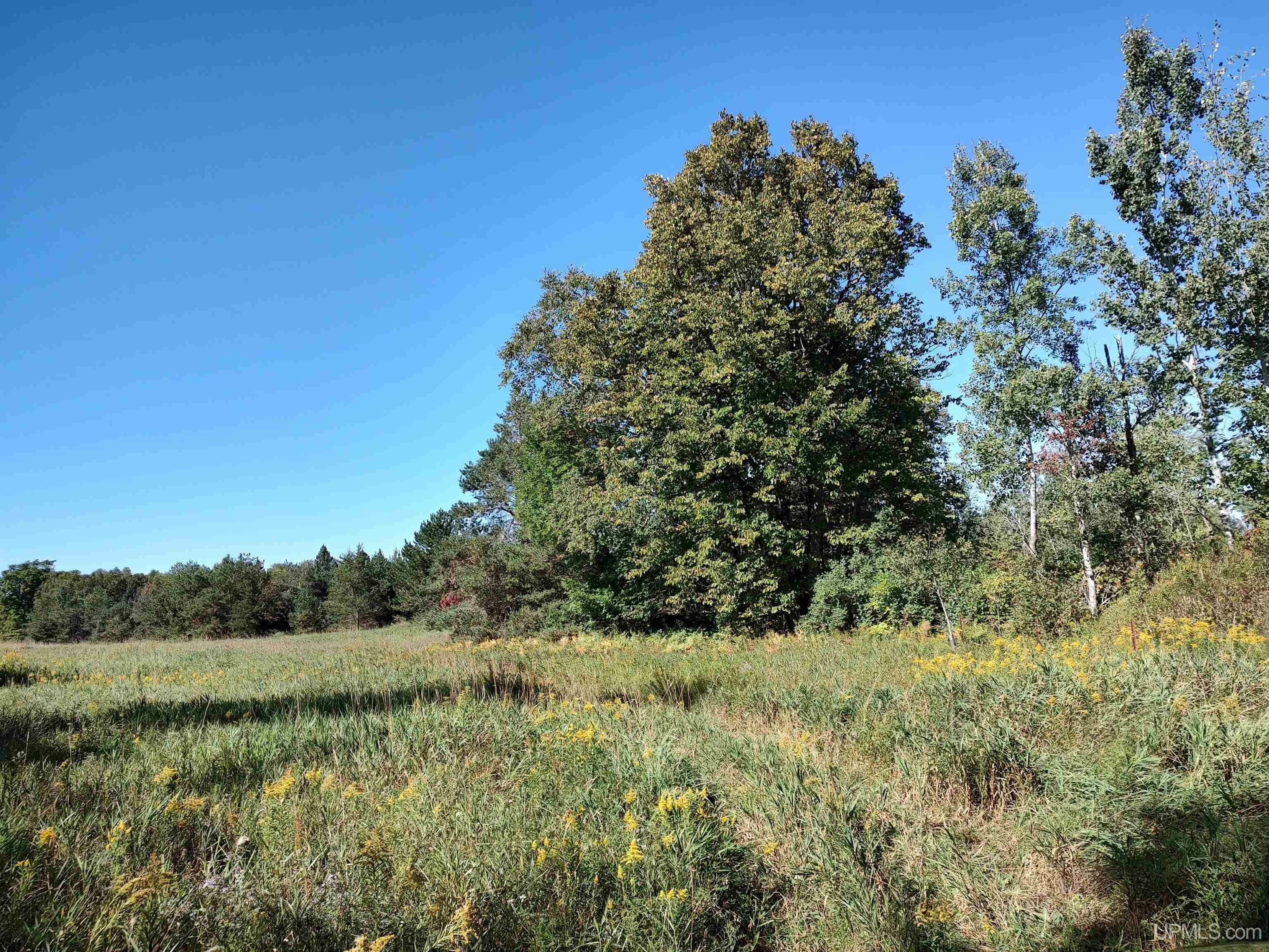 Property Photo: 421 Acres Lang MI 49840