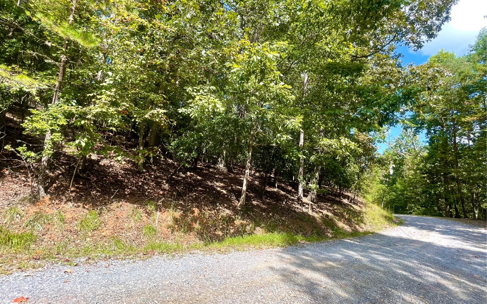 Property Photo: Lot 1272 Fleur Ln GA 30540