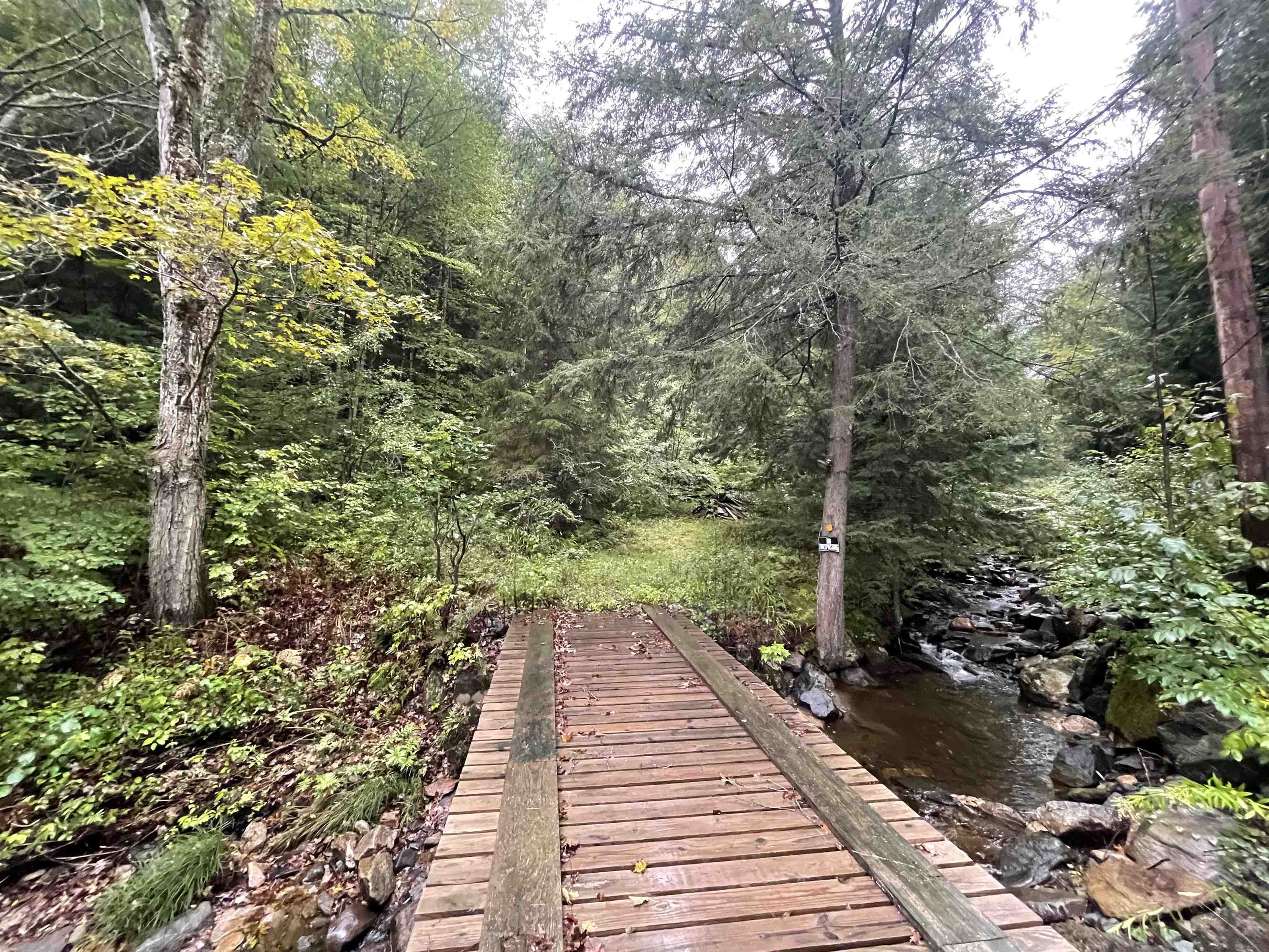 Property Photo:  667 Hinkley Brook Road  VT 05146 