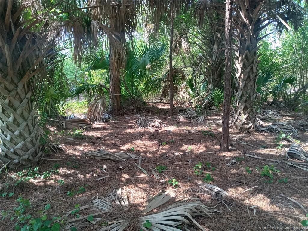 Property Photo: 6425 NW Verdi Court FL 34986