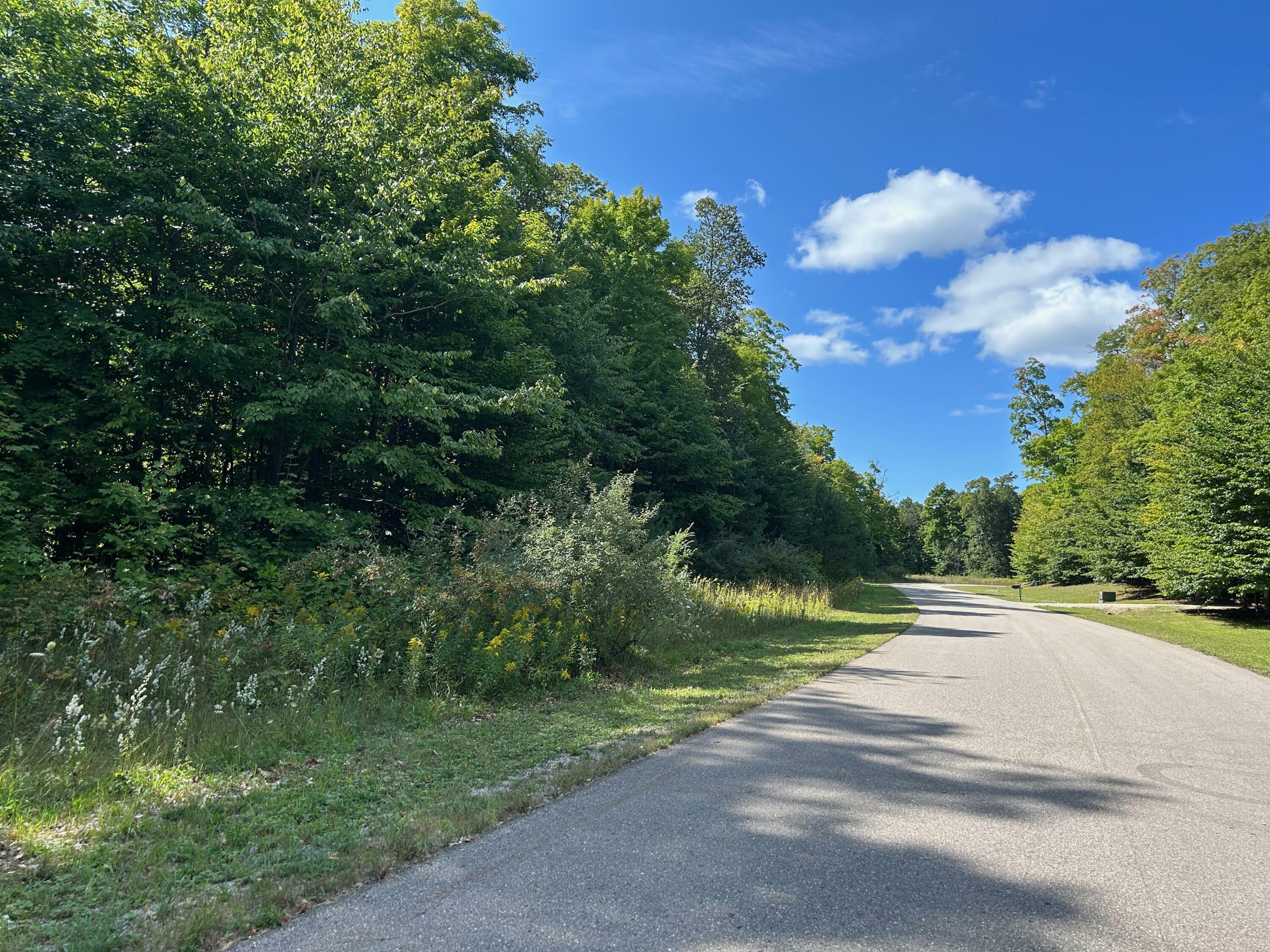 Property Photo:  11300 Berry Creek Valley Road  MI 49770 