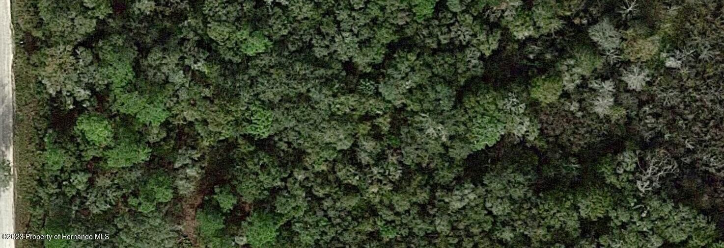 Property Photo:  00 Chimney Rock Drive  FL 33597 