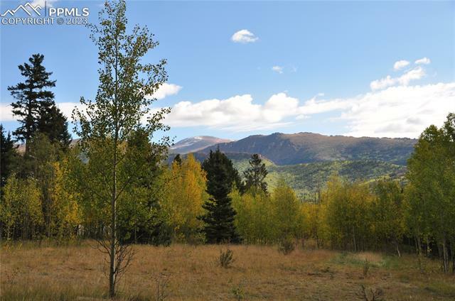 Property Photo:  633 County Road 61  CO 80816 