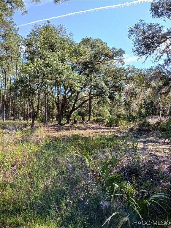 Property Photo: 9217 N Bromeliad Terrace FL 34428