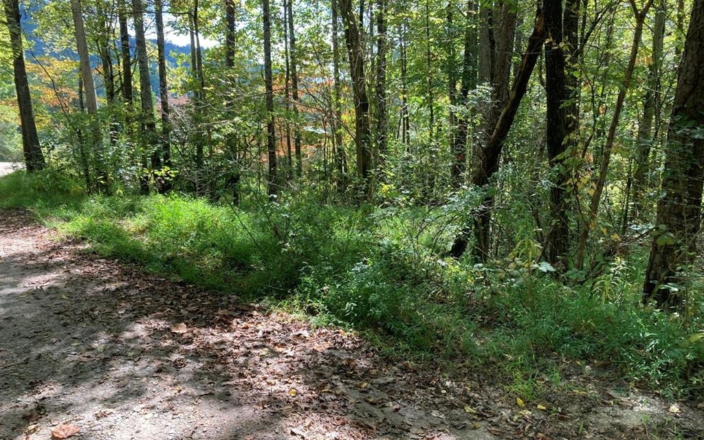 Property Photo:  11 Mountain View Trail  NC 28906 