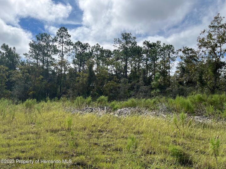 Property Photo:  13154 Flaccus Court  FL 34613 