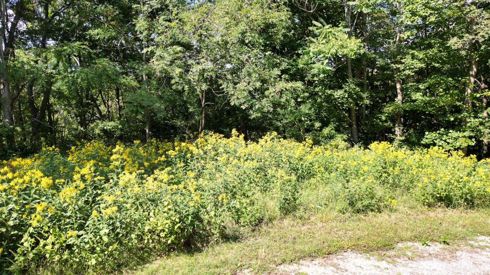 Property Photo:  77 Savannah Dr  TN 37166 