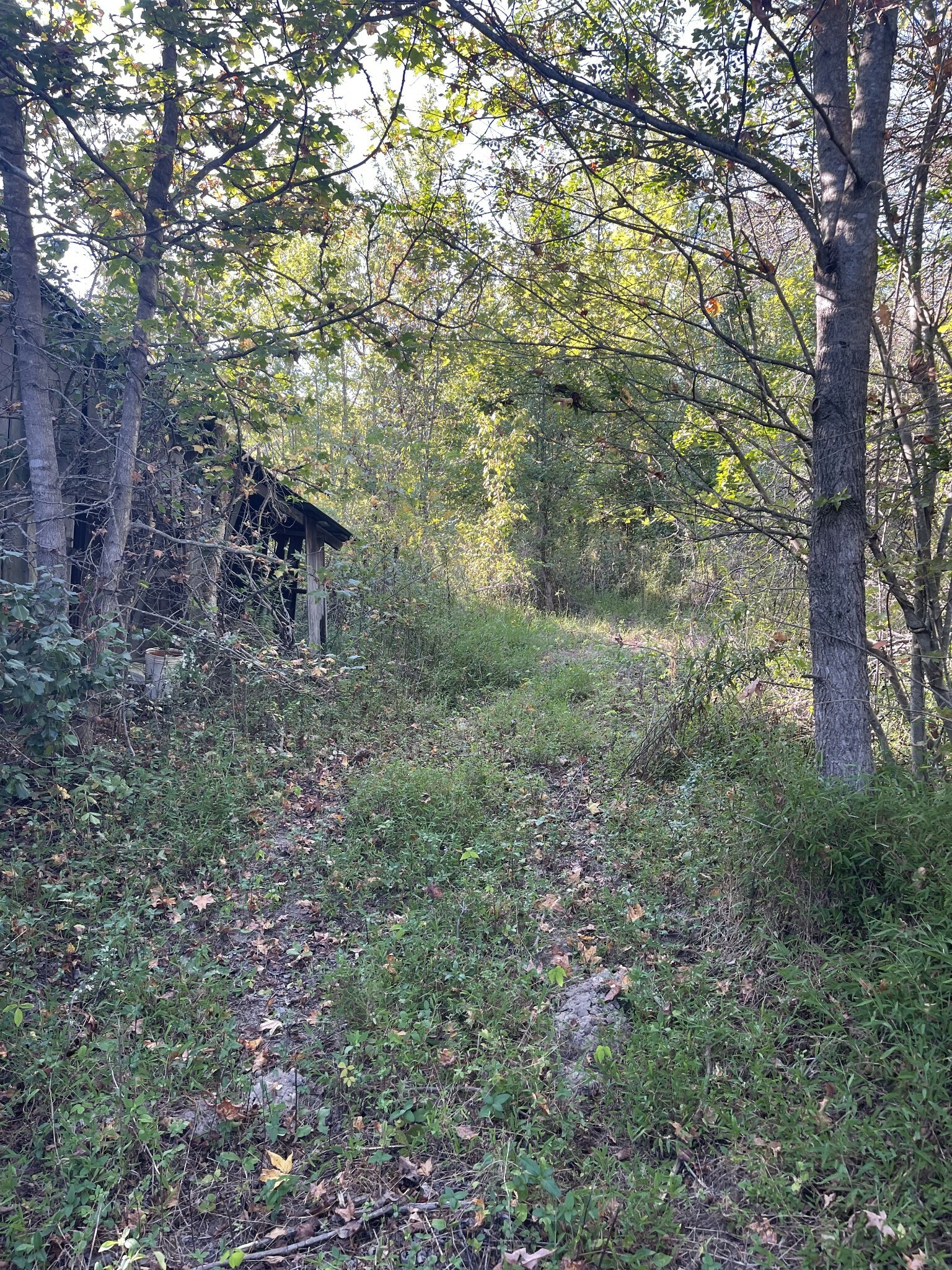 Property Photo:  0 Union Camp Road  TN 37083 