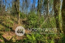 Property Photo:  13750 97th Avenue NE  WA 98034 