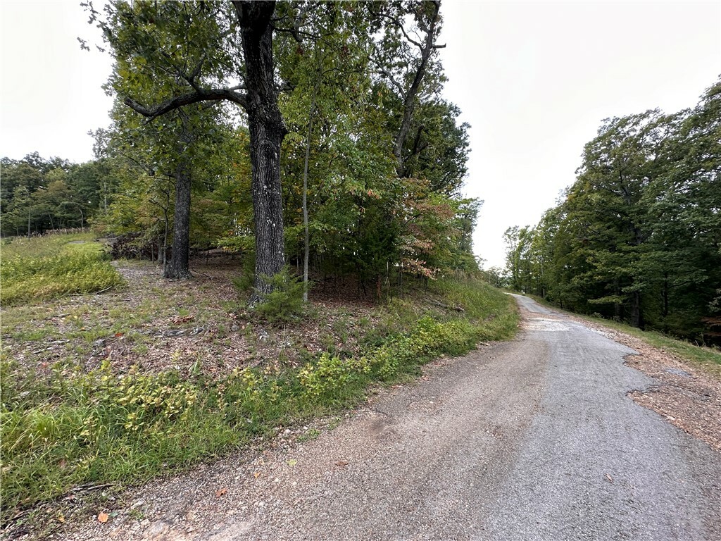 Property Photo:  Lot 3 Silver Summit Road  AR 72631 