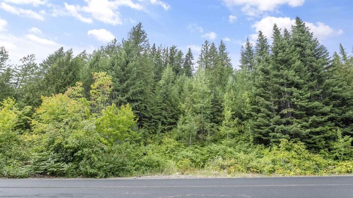 234xx N Mt Spokane Park Dr  Mead WA 99021 photo