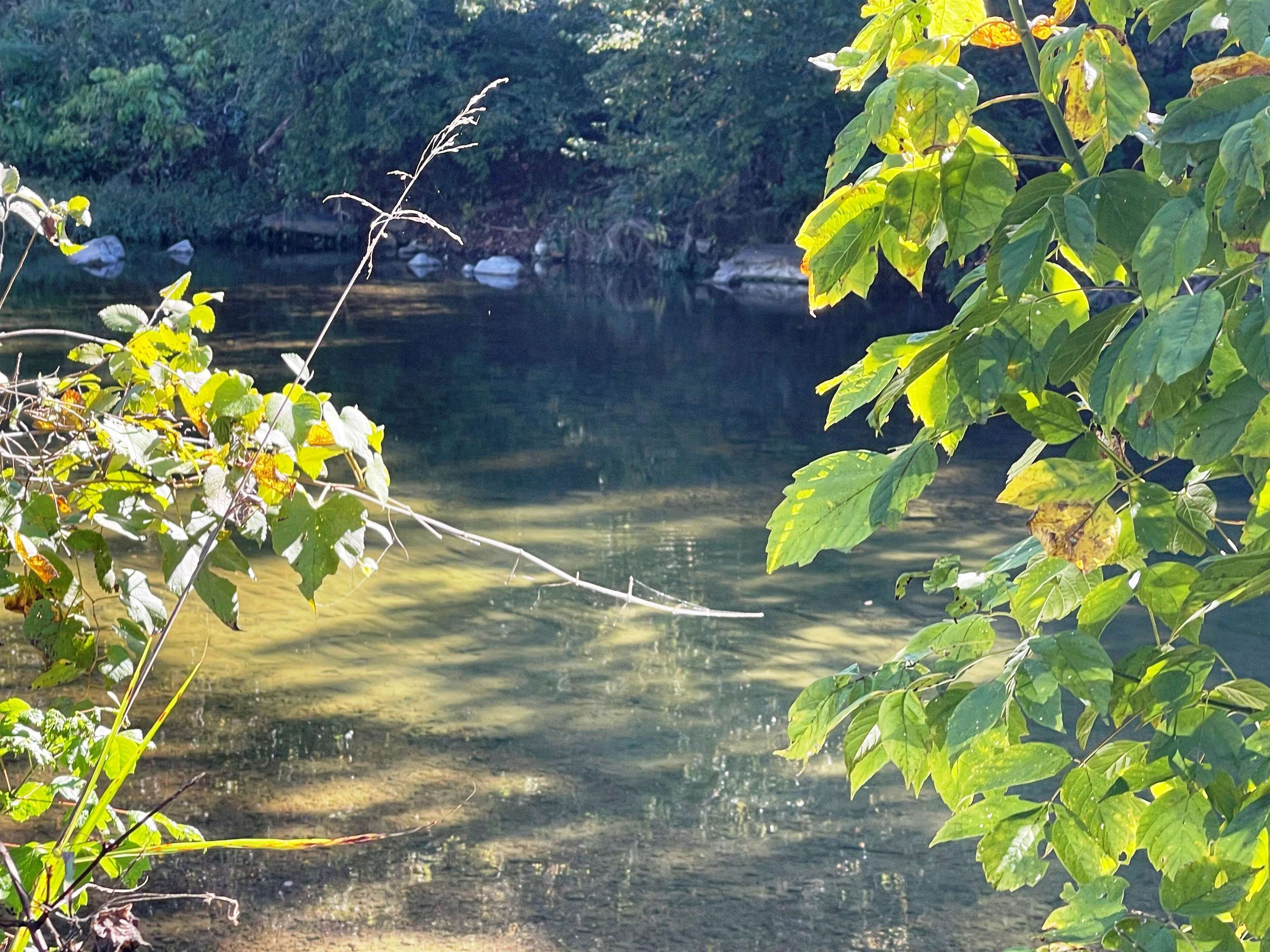 Property Photo: Tbd Big Creek Road AR 72542