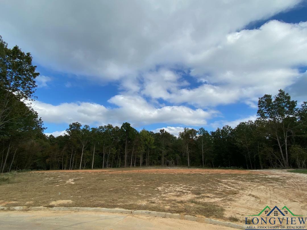 Property Photo:  Lot 6 Thorn Briar  TX 75602 