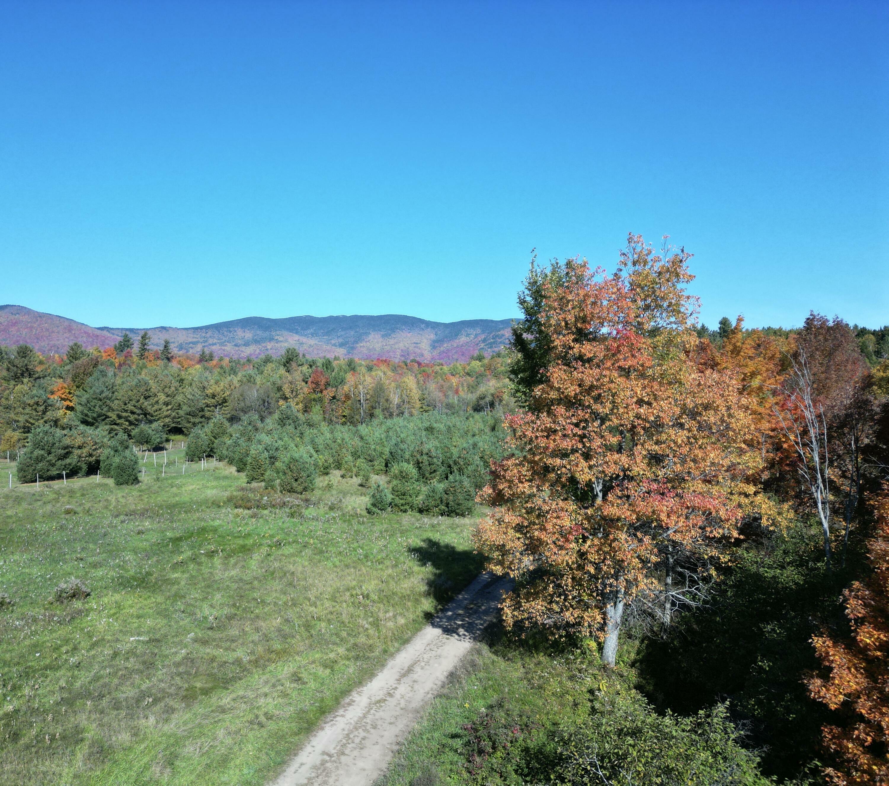 Property Photo:  972 True Brook Road  NY 12981 