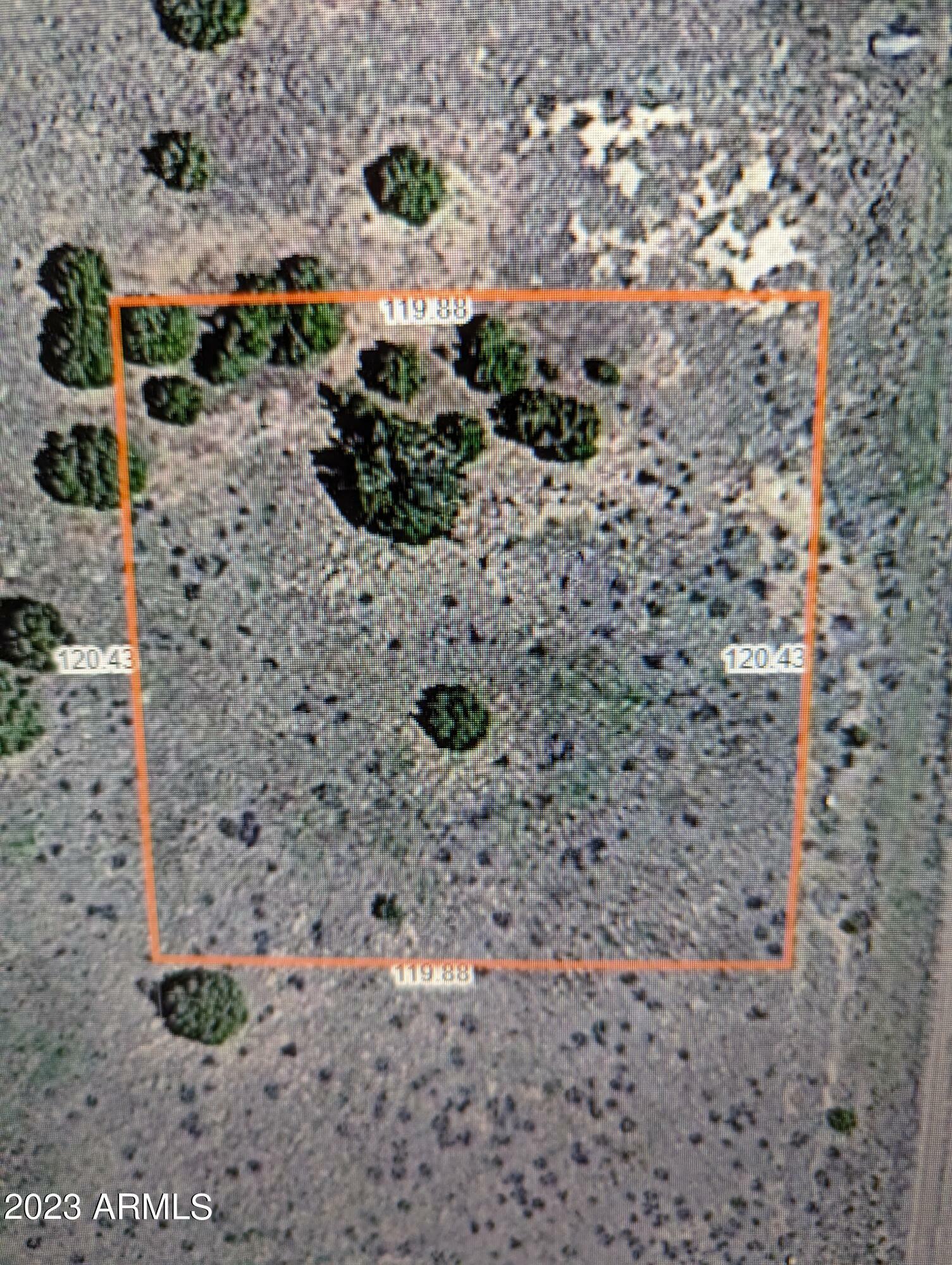 60 County Rd 5204 --  Concho AZ 85924 photo