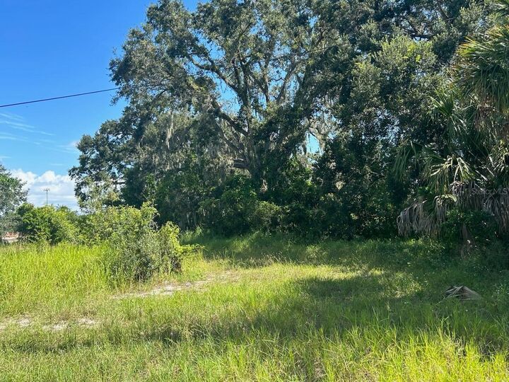 Property Photo:  613 Avenue O NE  FL 33881 