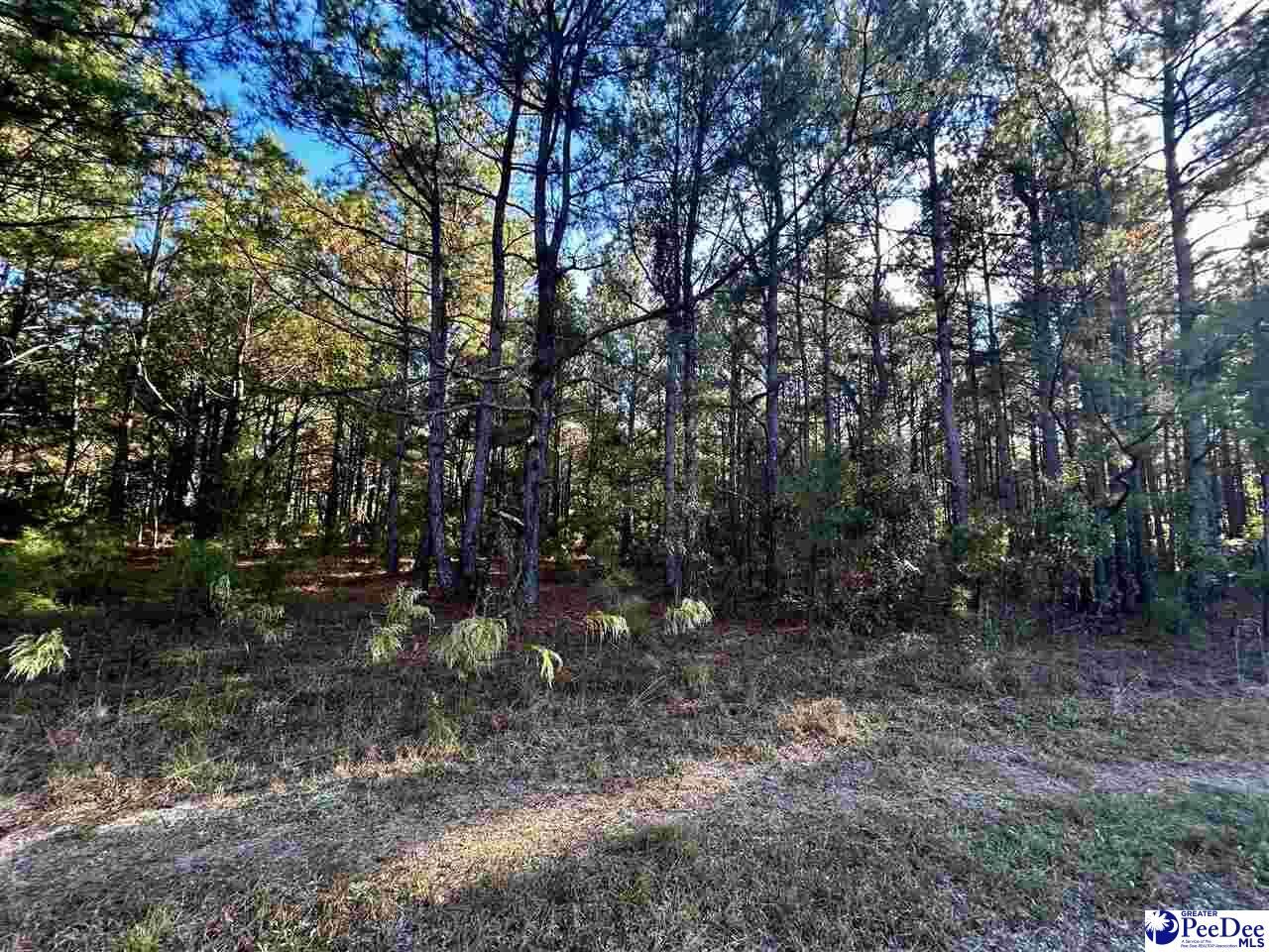 Property Photo: Tbd St Highway 727 SC 29583