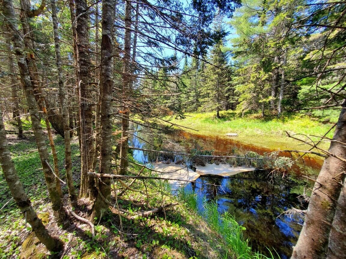 Property Photo: 4-2 Black Cow Meadow Road ME 04654