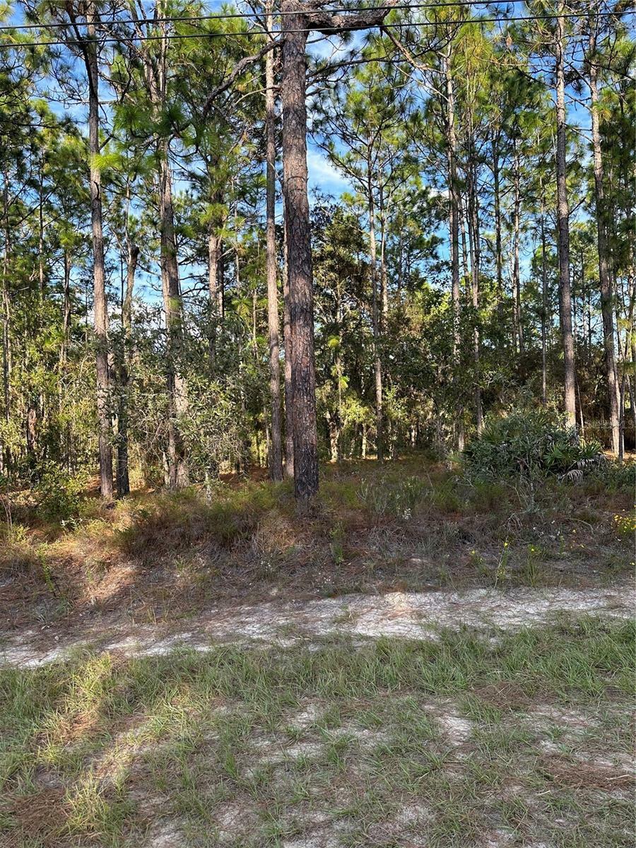 Property Photo:  7827 N Vivian Way  FL 34434 