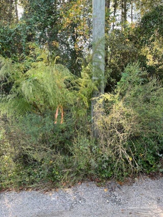 Property Photo: 0 Gillis Rd FL 32583