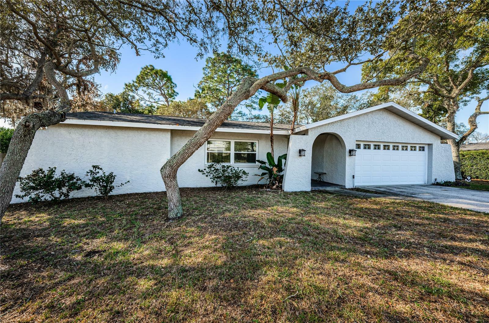 Property Photo: 1100 E Lime Street FL 34689