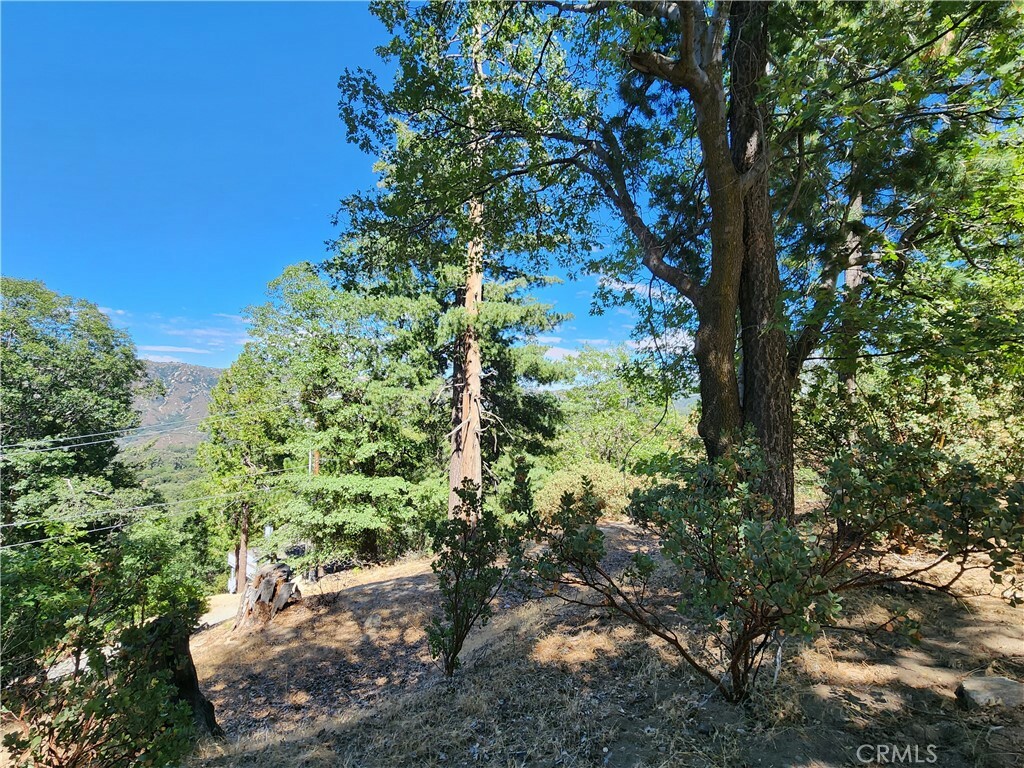Property Photo:  203 Canyon View Drive  CA 92325 