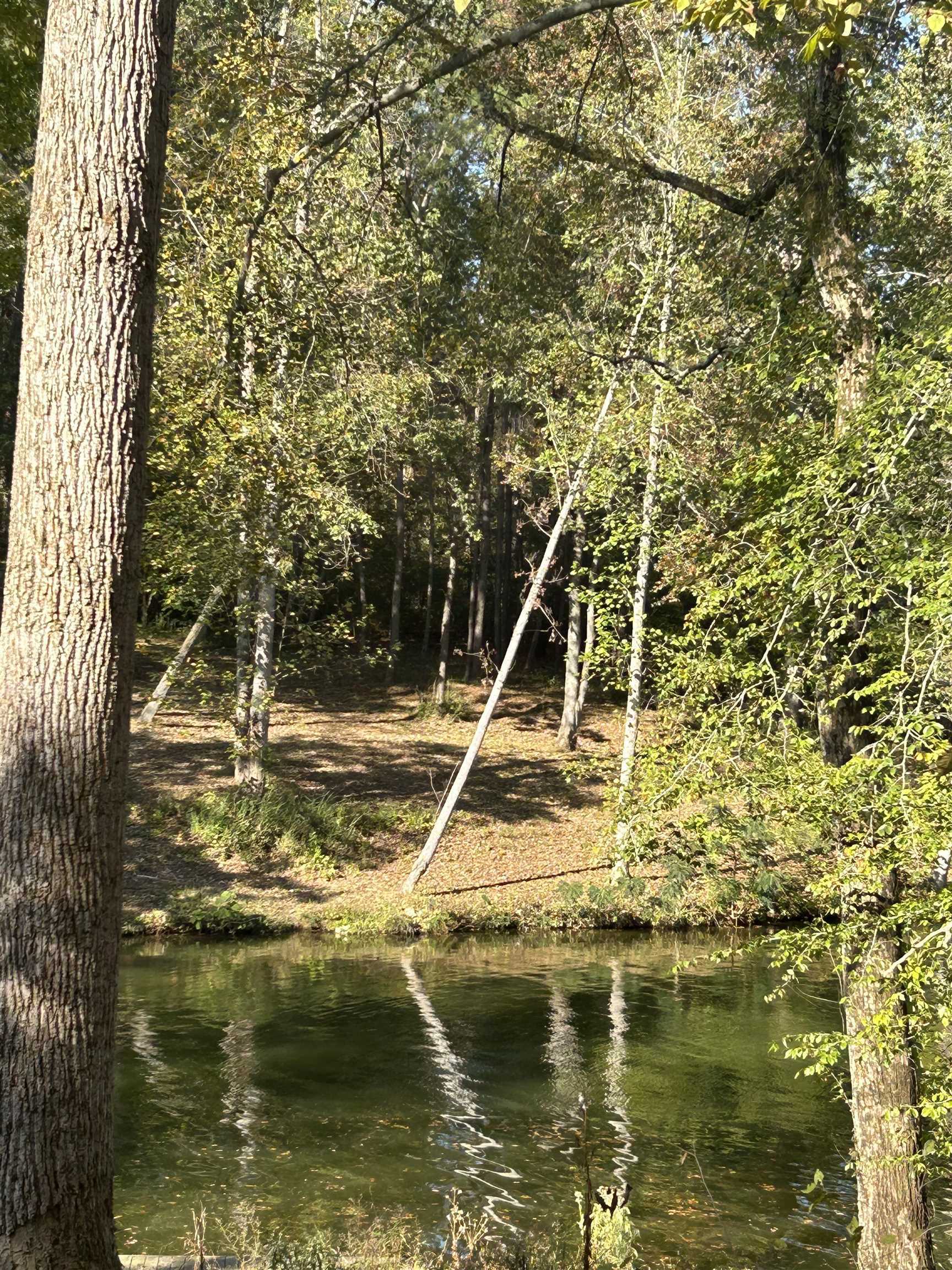 Property Photo: 022 Co Rd 30 AL 35634 - FLORENCE