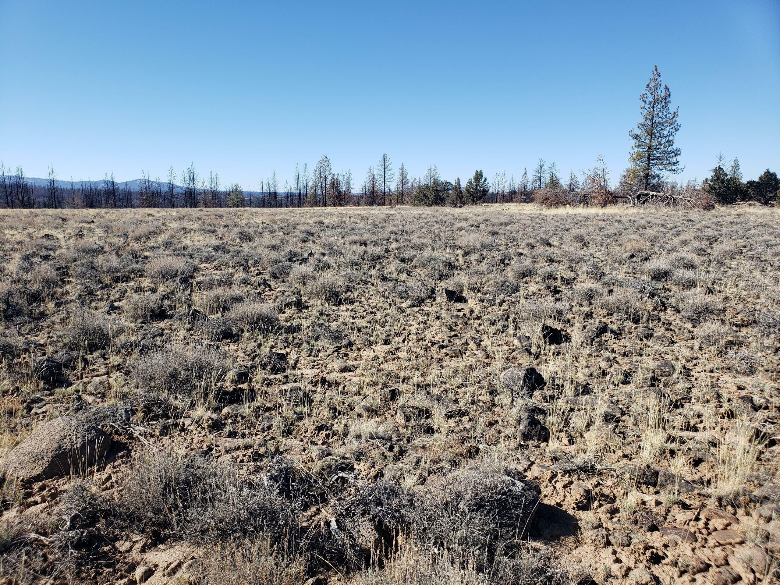 Property Photo:  Lot 3N White Fir Way  OR 97622 