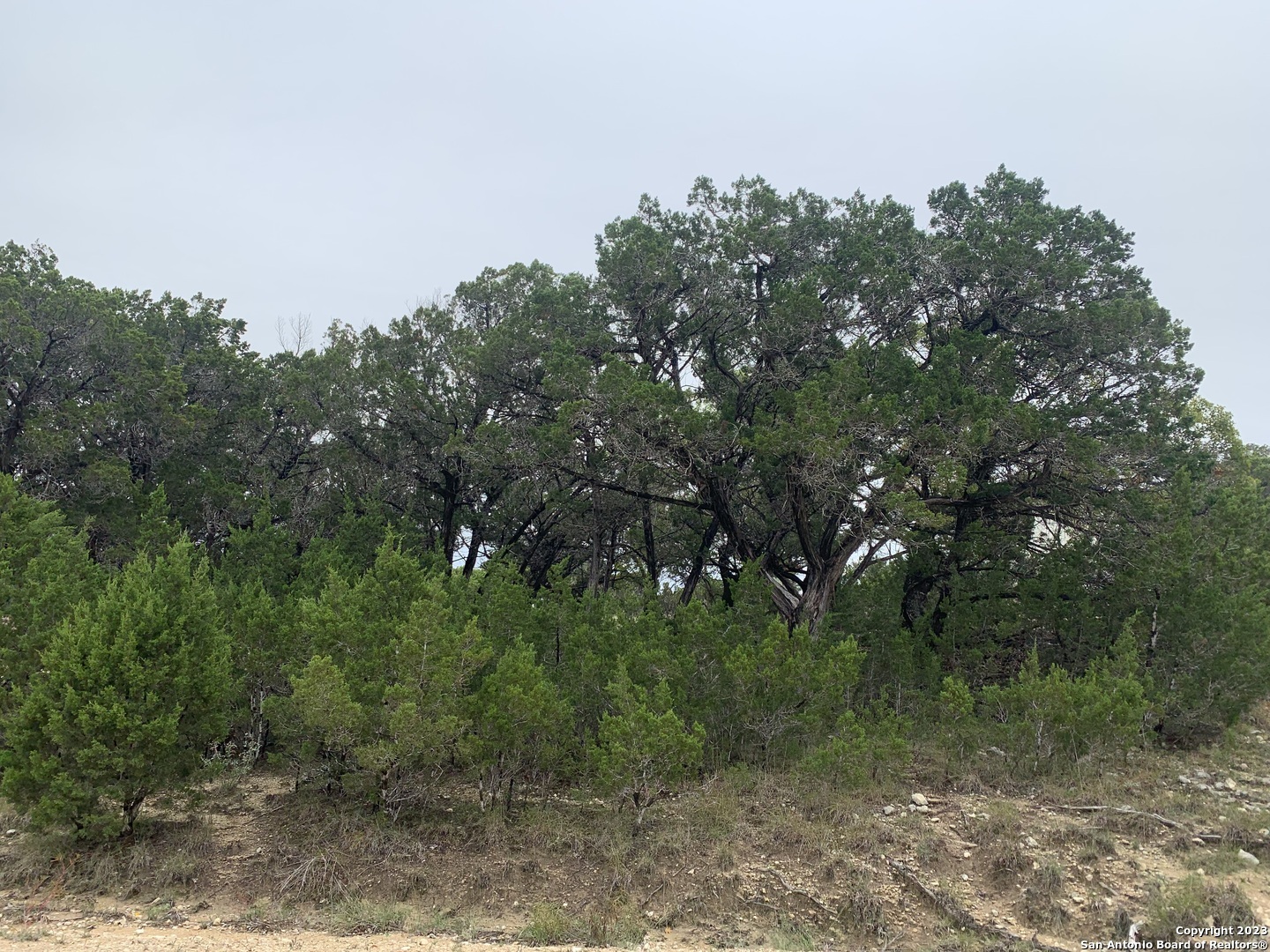 Property Photo:  Lot 463 Topside  TX 78003 