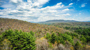 Property Photo:  Green Ridge Trail - Lot #2  TN 37748 