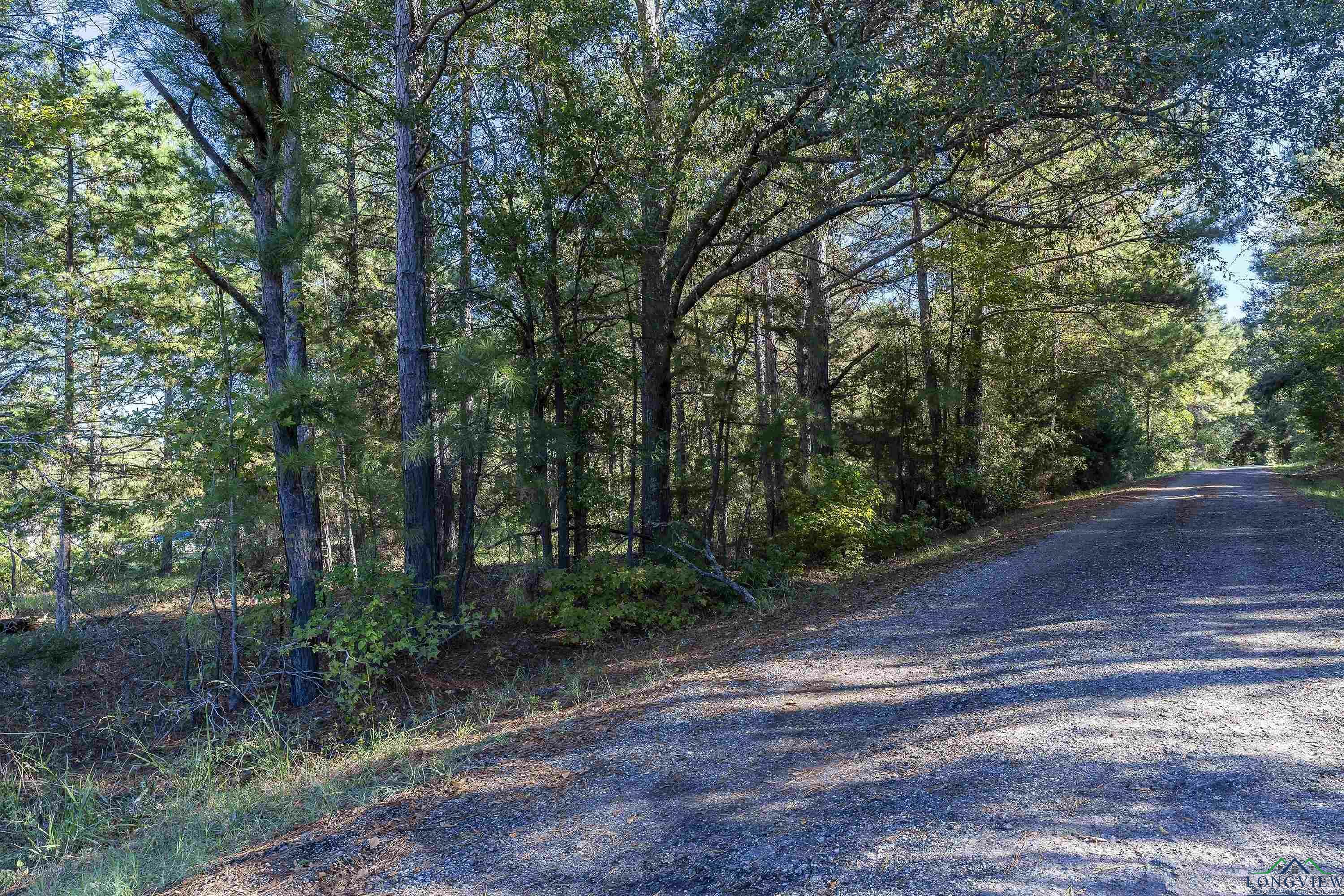 Property Photo:  Tbd Crockett Cemetery Rd Cr 4375 (Aka)  TX 75651 