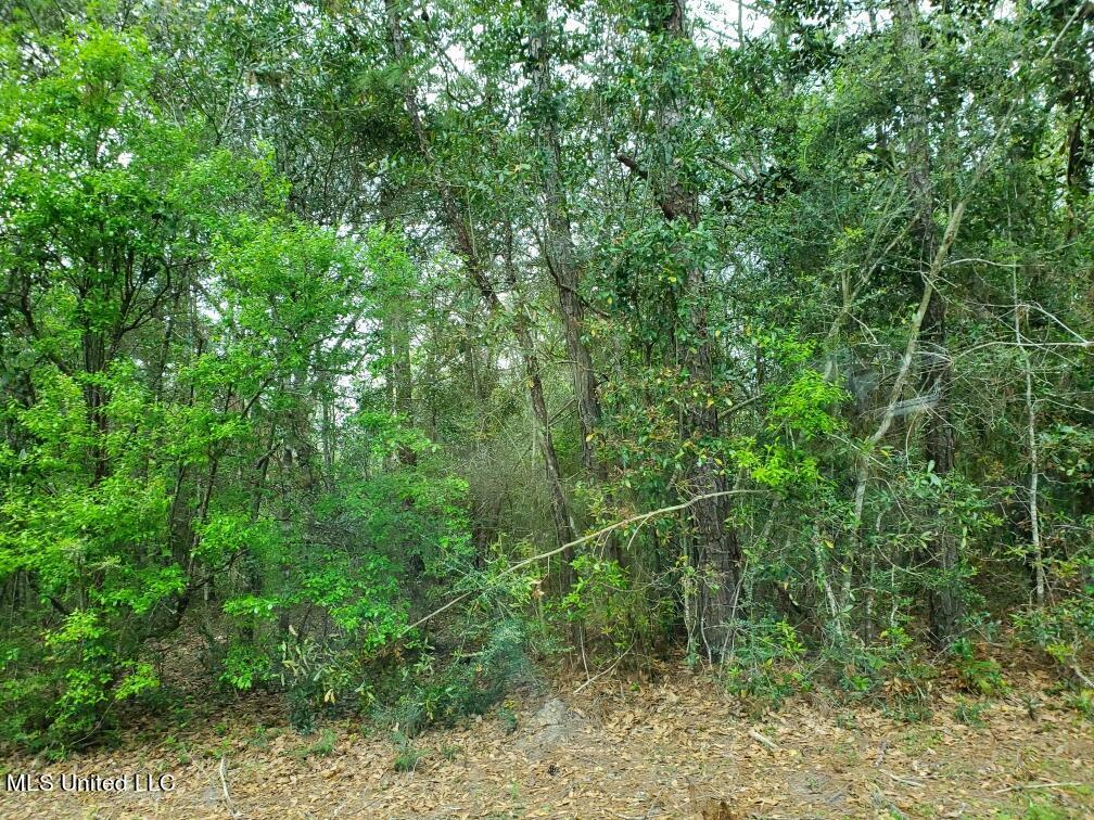 Property Photo:  0 E New Hope Church Road  MS 39452 