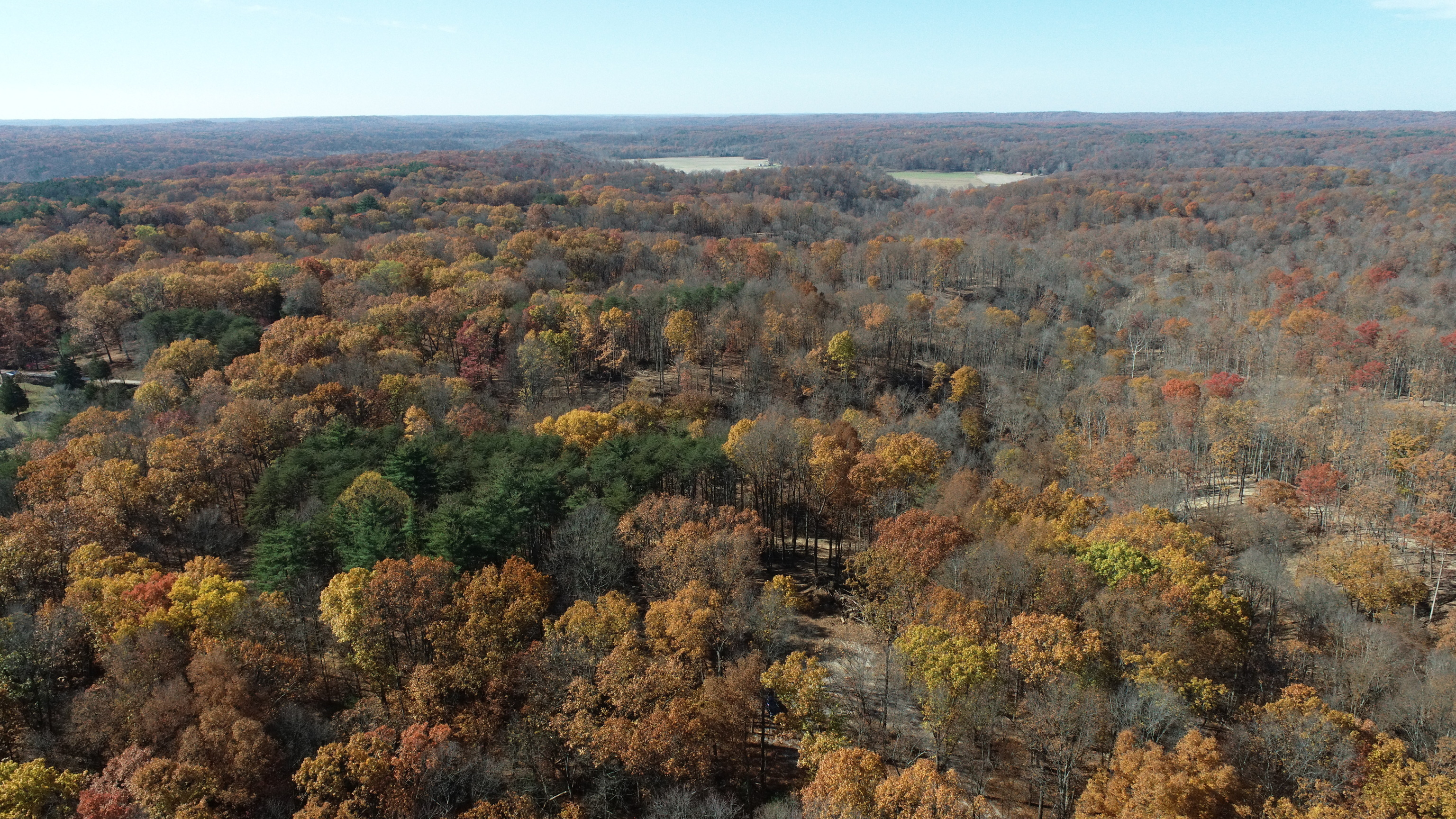 Property Photo: 0 Dixon Rd IN 47201