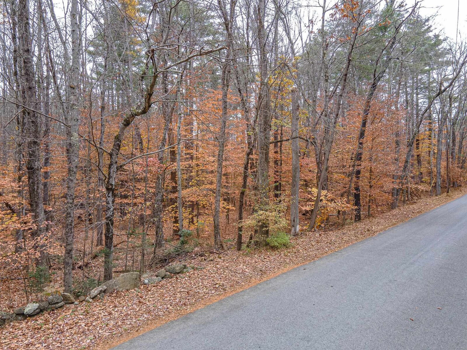 Property Photo: Old Greenfield Road NH 03458