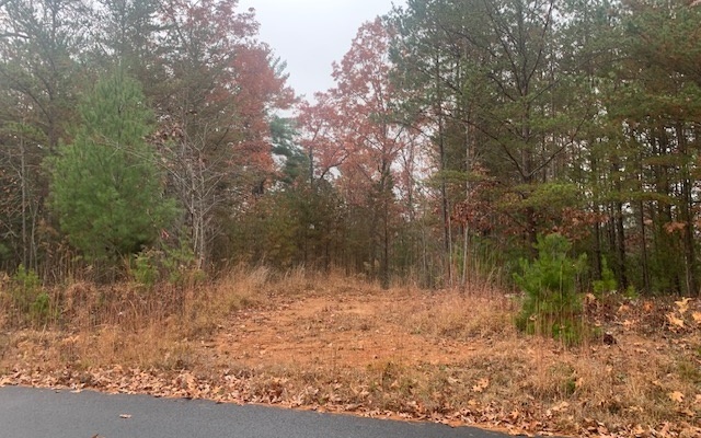 Property Photo:  Lot 3 Cook Henry Road  GA 30512 