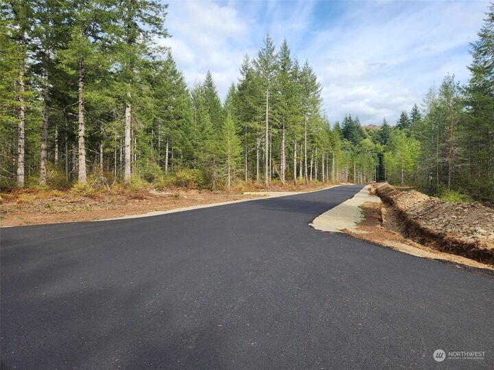 Property Photo: 0 Lot 7 Div 2 Raven Lane WA 98541