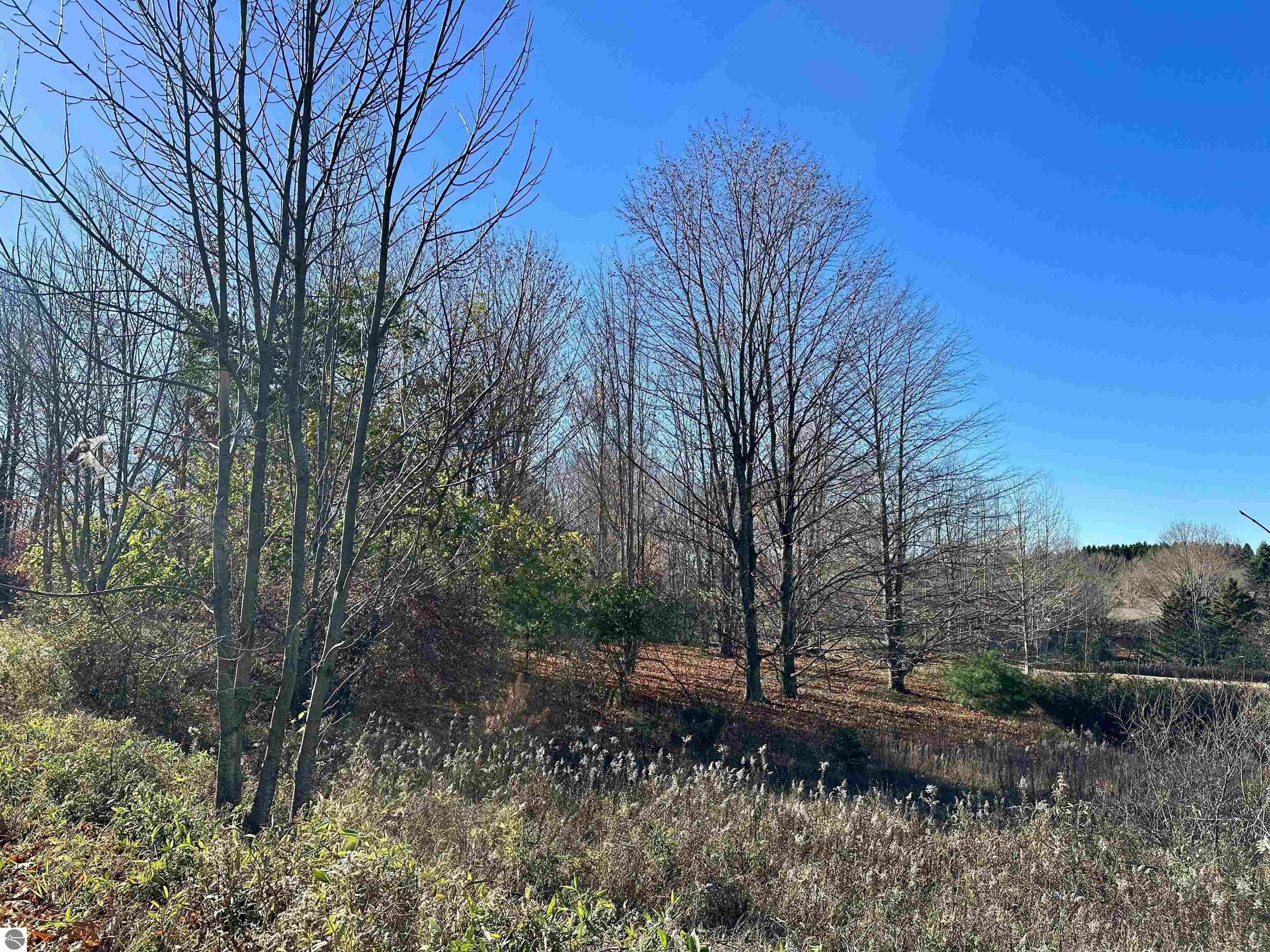 Property Photo: 000 Martin Drive MI 49635