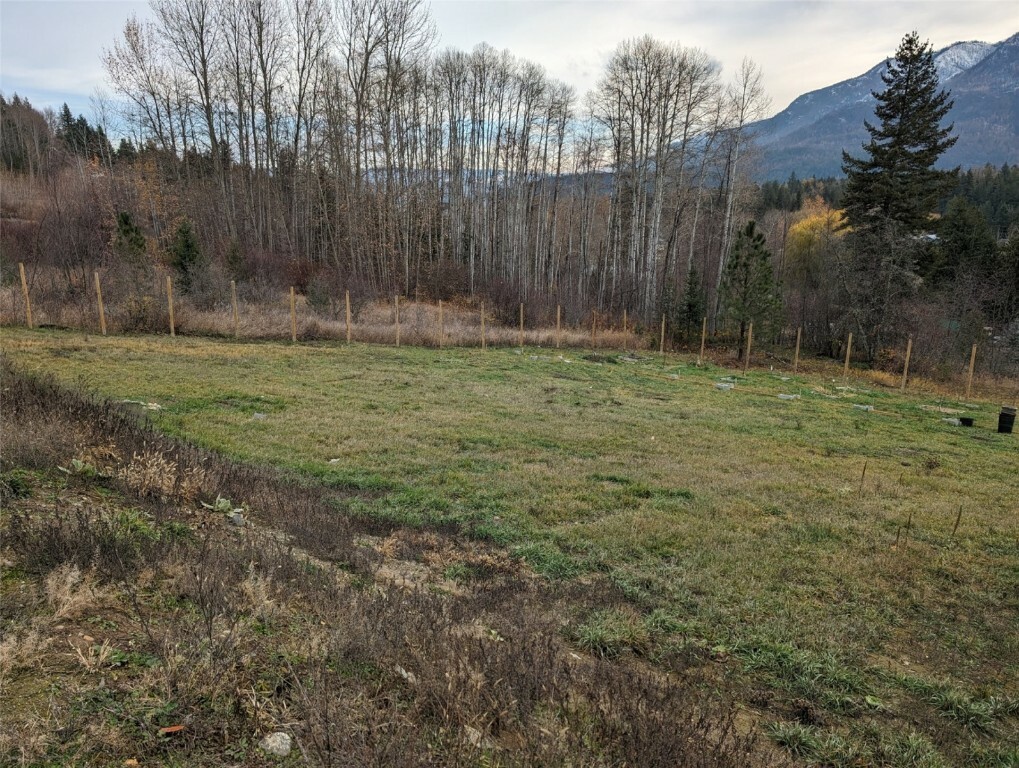 Photo de la propriété:  2481 Squilax-Anglemont Road  BC V0E 1M4 