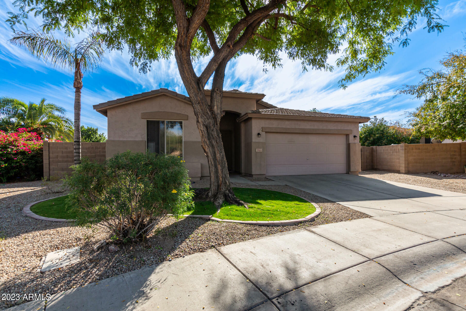 Property Photo:  2941 E Tyson Street  AZ 85225 