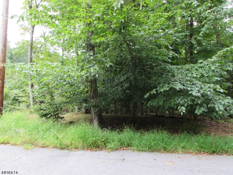 Property Photo:  35 Passaic Valley Rd  NJ 07045 