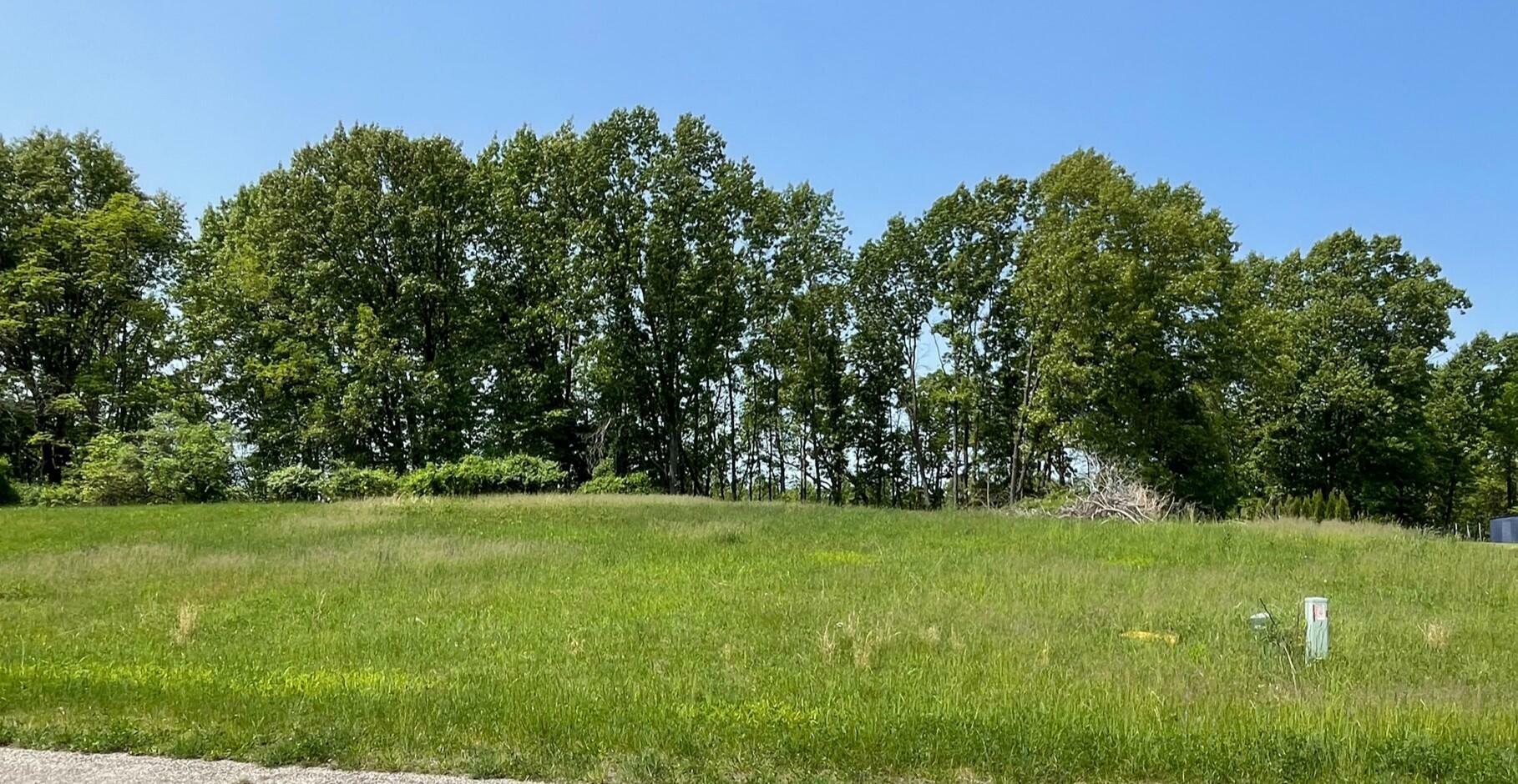 Property Photo: Lot 10 Leo Lane MI 49093