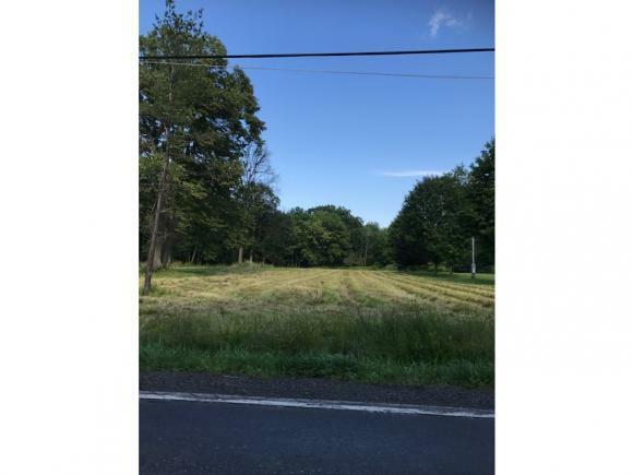 Property Photo:  7076 Halseyville Road  NY 14886 