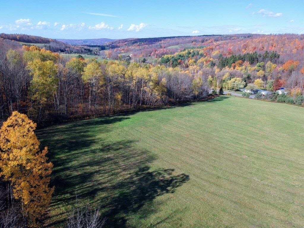 Property Photo: 0 Seventy Six Road NY 14817