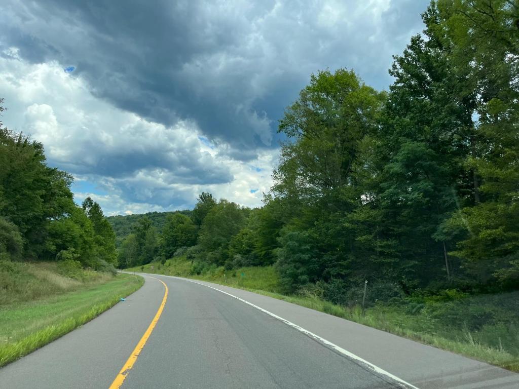 Property Photo: 0 W Danby Road NY 14867