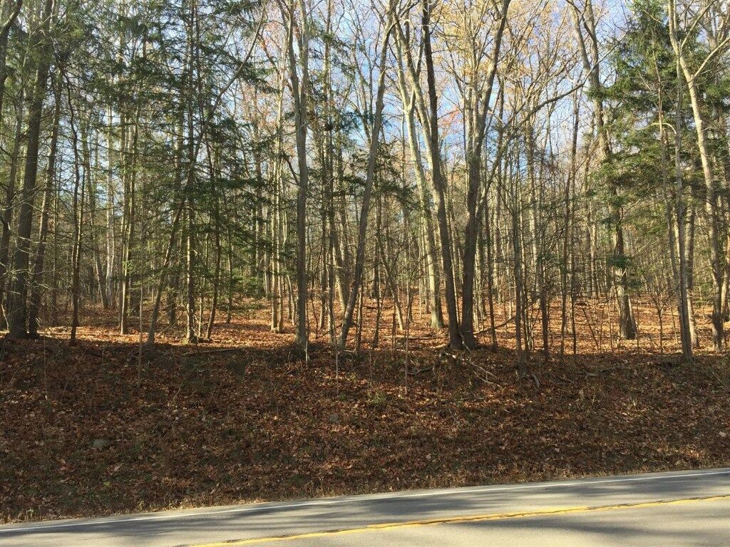 Property Photo: 0 Taughannock Boulevard NY 14850