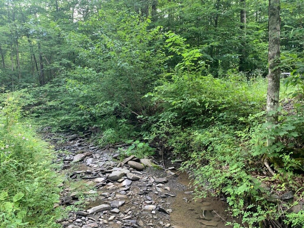 Property Photo: 0 Washburn Road NY 14883