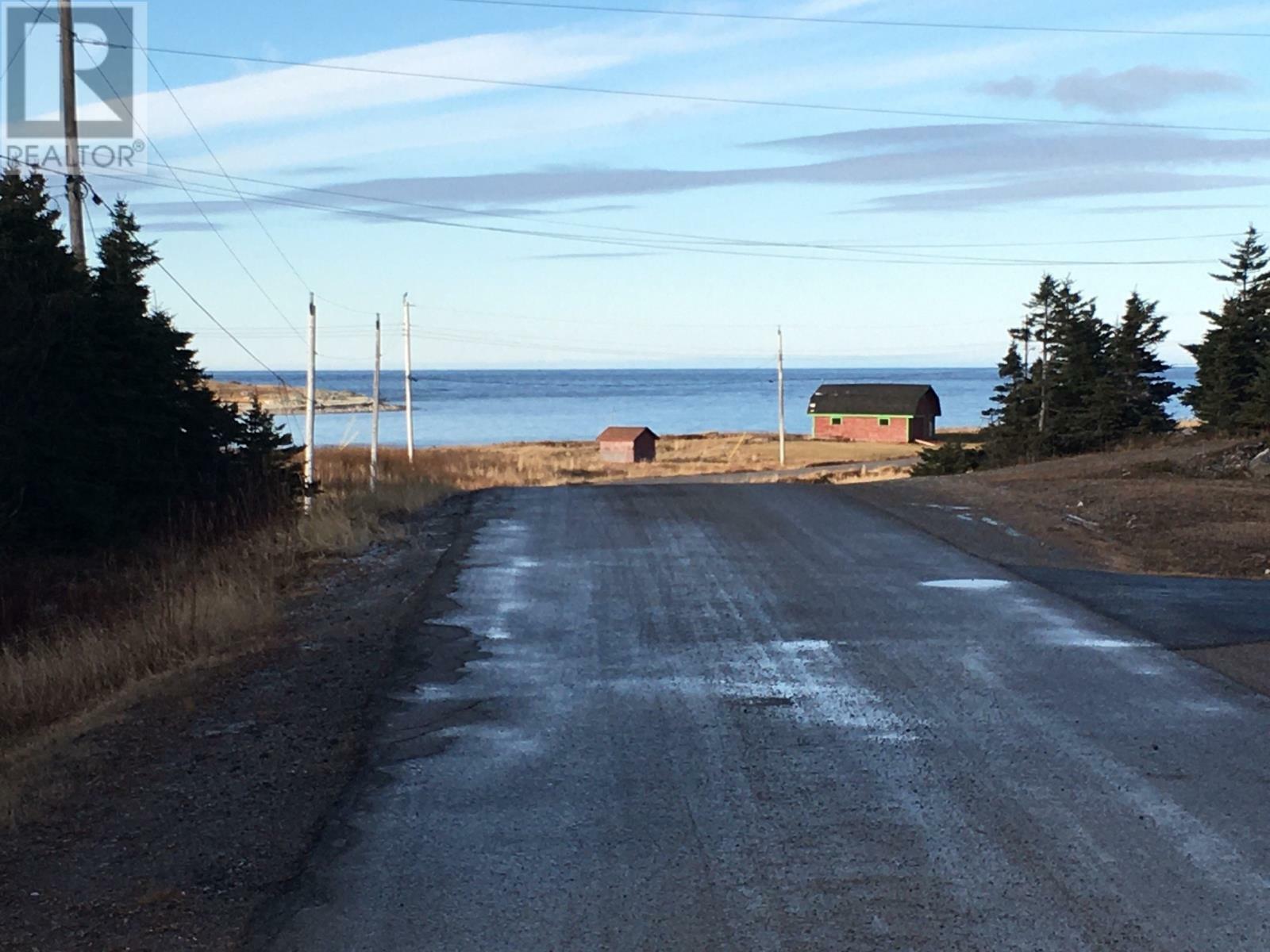 Property Photo:  Box 142 Blue Cove Road  NL A0K 4A0 